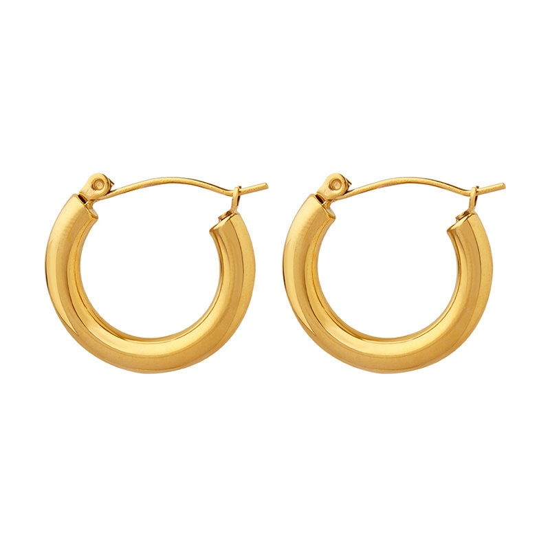 Titanium Simple Hoop Earrings, Non Tarnish Earrings, Implant Grade Titanium Waterproof Earrings, Vintage Style Earrings, Minimal