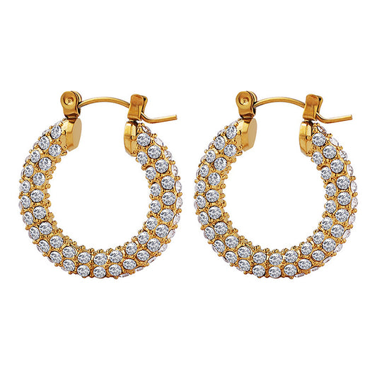 Titanium Rhinestones Hoop Earrings, Non Tarnish Earrings, Implant Grade Titanium Waterproof Earrings, Vintage Style Earrings, Minimal