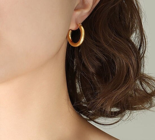 Titanium Simple Hoop Earrings, Non Tarnish Earrings, Implant Grade Titanium Waterproof Earrings, Vintage Style Earrings, Minimal